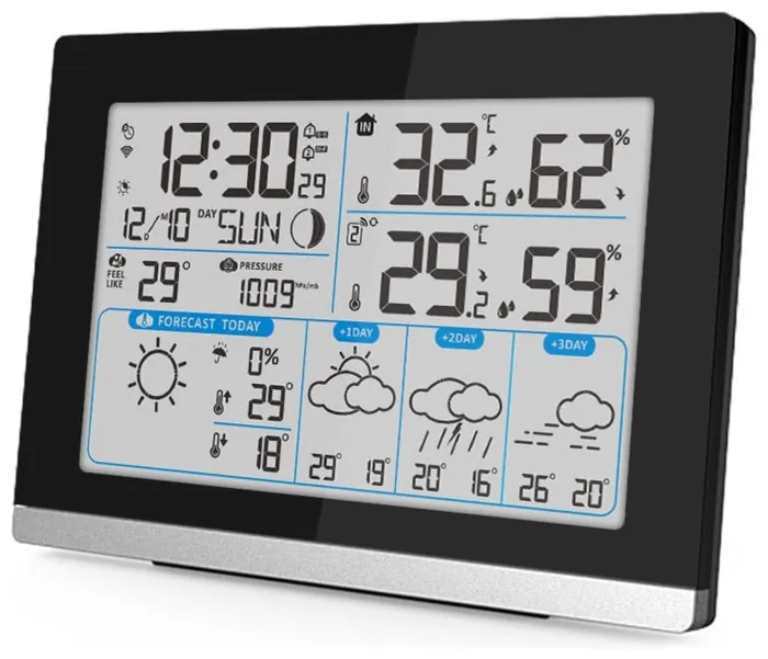 Метеостанция Technoline DirektWetter WD2100 Black (WD2100)