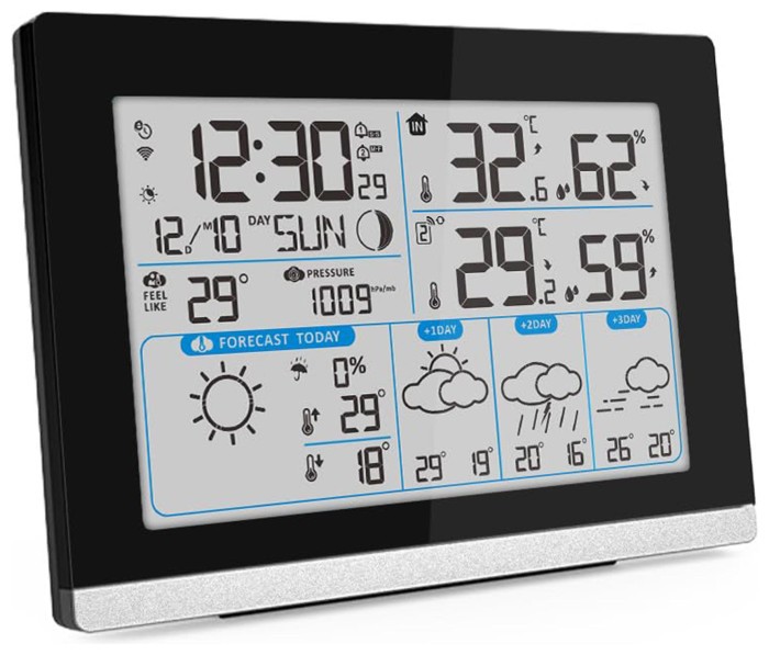 Метеостанция Technoline DirektWetter WD2100 Black (WD2100)