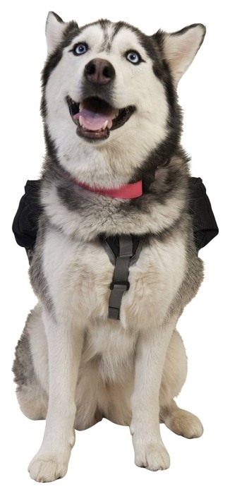 Рюкзак Ultimate Direction для собак Dog Vest black