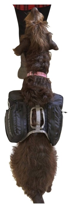 Рюкзак Ultimate Direction для собак Dog Vest black