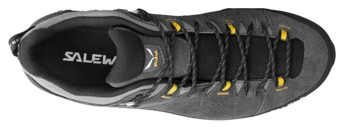 Кроссовки Salewa Alp Trainer 2 GTX Mns