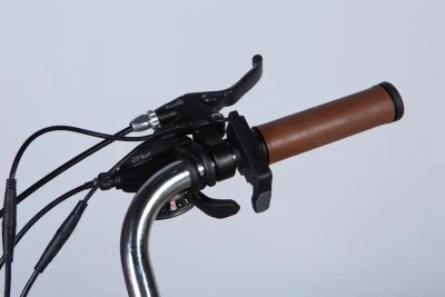 Велосипед з електроприводом 28" AL Dorozhnik eCORAL DD FR рама-19" 36B 12.5А*г 500Вт болотно-зелений YS 3202 2025