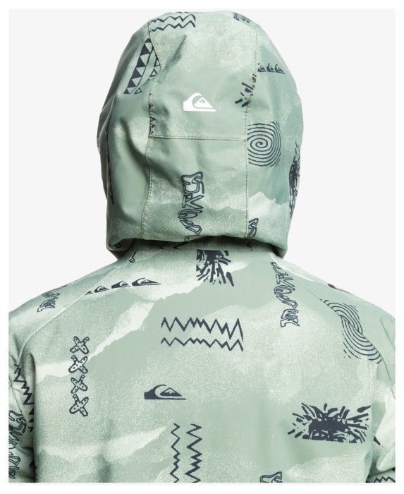 Куртка для зимних видов спорта Quiksilver (EQBTJ03196) MISSION PRINTED 2026
