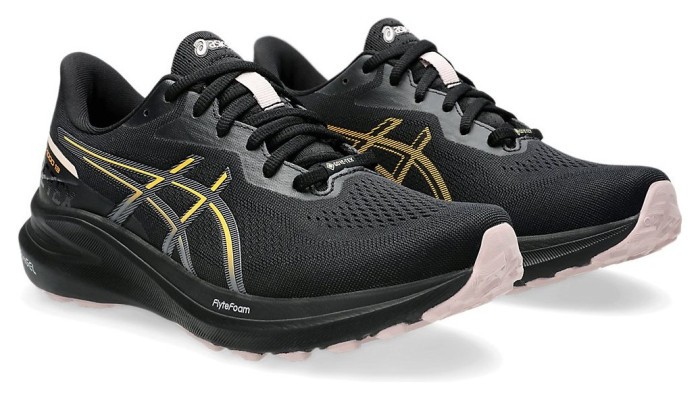 Кроссовки для бега Asics ( 1012B661 ) GT-1000 13 GTX 2024