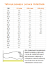 Роликові коньки для дорослих Rollerblade TEMPEST 100 M 40.5 (8US) 260мм Silver/orange (07301800 955), укр Фото - 1