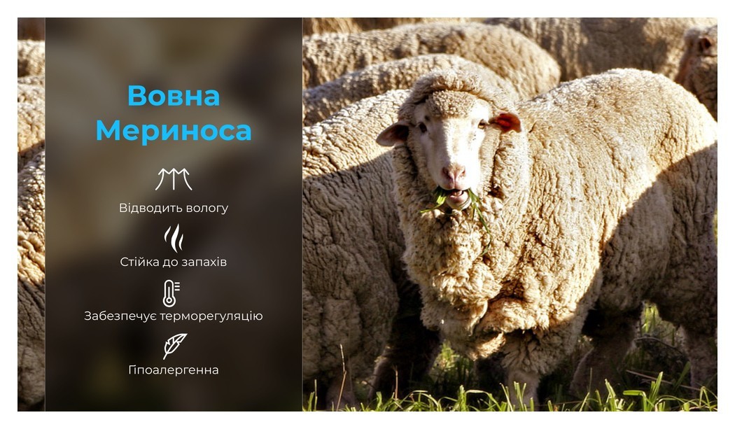 Шкарпетки водонепроникні Dexshell Thermlite, p-p М, з зеленою смужкою, укр, укр