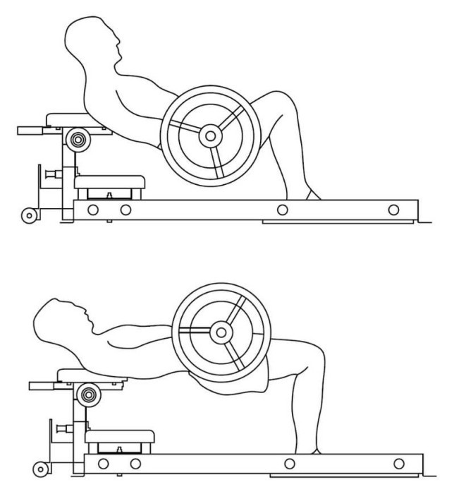 Тренажер для м'язів стегон inSPORTline X-NT HT10 Hip Thrust