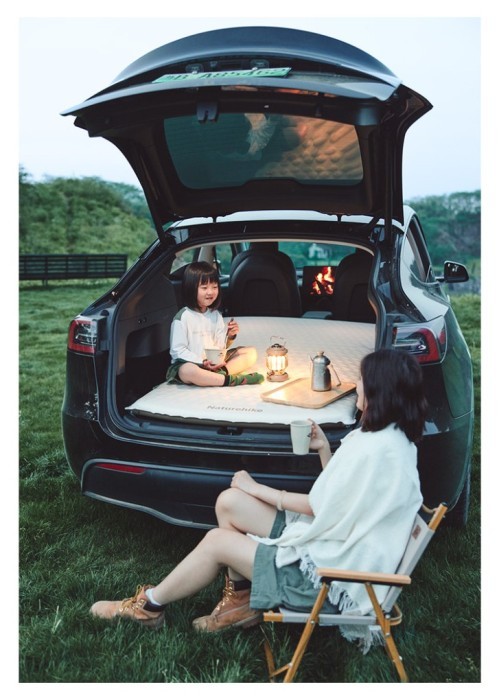 Матрац автомобільний кемпінговий двомісний Naturehike CNK2450WS010, 197х134х6,5 см світлий із вбудованою помпою для надування