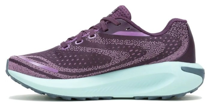 Кросівки Merrell Morphlite GTX Wmn, укр, укр