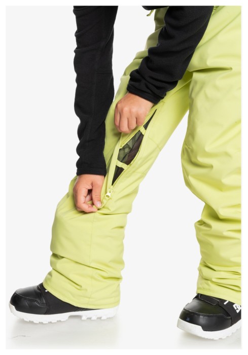 Брюки для зимних видов спорта Quiksilver (EQBTP03055) ESTATE YOUTH 2026