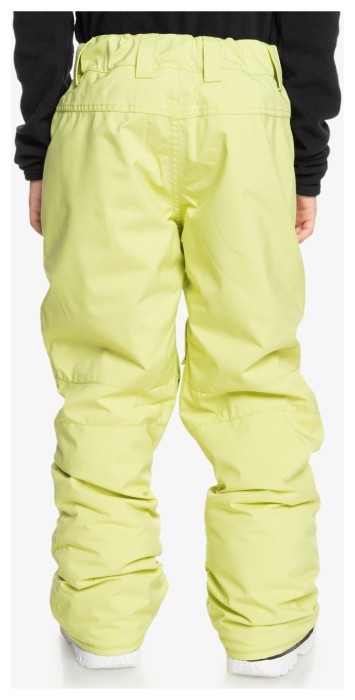 Брюки для зимних видов спорта Quiksilver (EQBTP03055) ESTATE YOUTH 2026