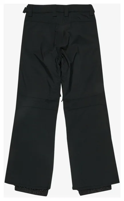 Брюки для зимних видов спорта Quiksilver (EQBTP03055) ESTATE YOUTH 2026