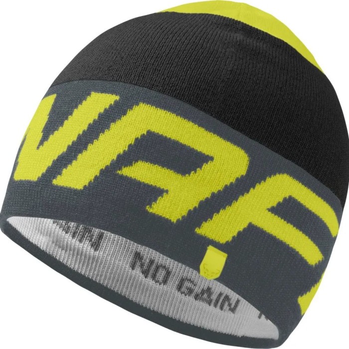 Шапка Dynafit Radical Beanie