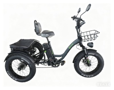 E-Tricycle Cruzzer Turbo Pro