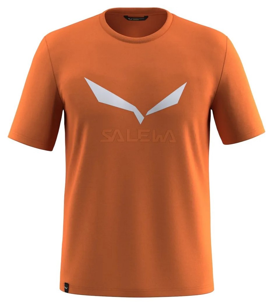 Футболка Salewa Solidlogo Dri-Release