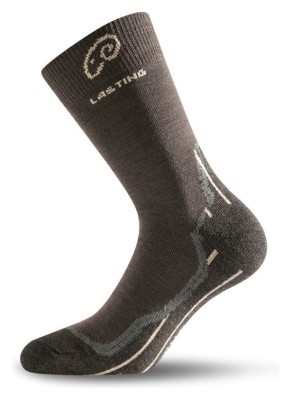 Шкарпетки Lasting WHI