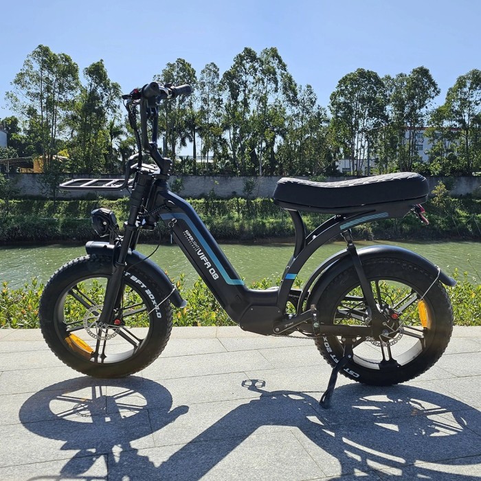 Електровелосипед OUXI Robust Q8 (250 Вт; 20 А*год; 48 В), колеса 20", чорний