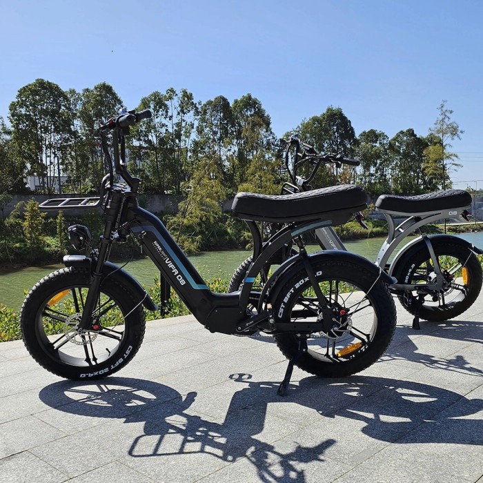 Електровелосипед OUXI Robust Q8 (250 Вт; 20 А*год; 48 В), колеса 20", чорний