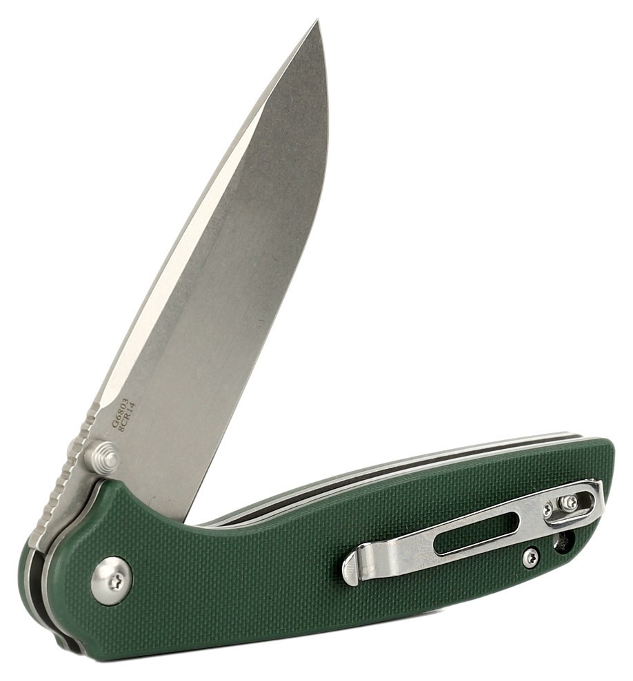 Ніж складаний Ganzo G6803 зелений