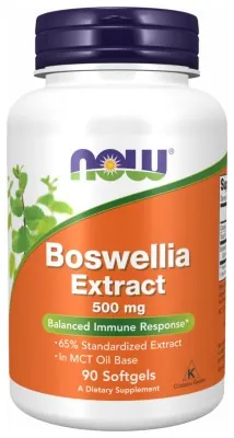 Boswellia Extract 500 mg - 90 sgels
