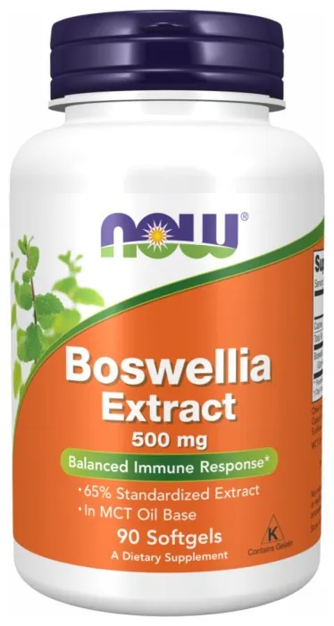 Boswellia Extract 500 mg - 90 sgels