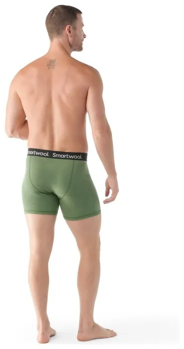 Труси чоловічі Smartwool Men's Merino Boxer Brief Boxed, Fern Green