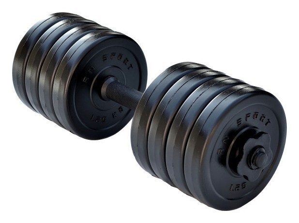 Гантель розбірний RN-Sport Long 10 кг, укр, укр