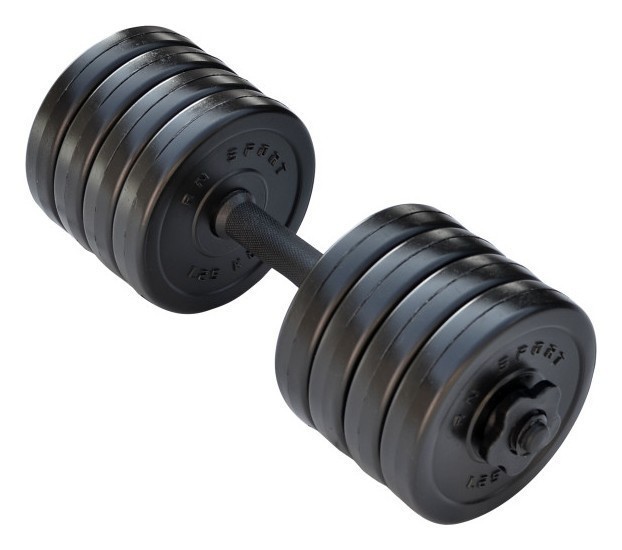 Гантель розбірний RN-Sport Long 10 кг