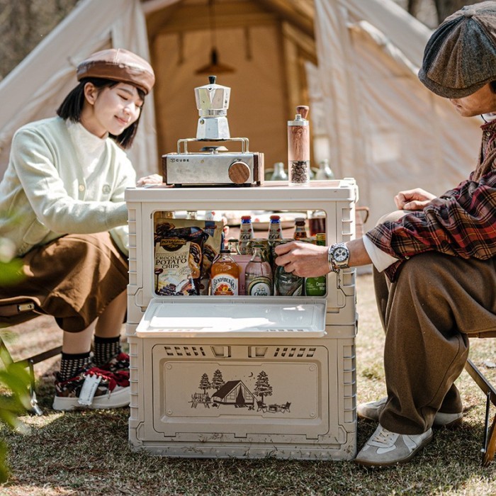 Складной контейнер Naturehike CNH22SN019 50 л светло-серый