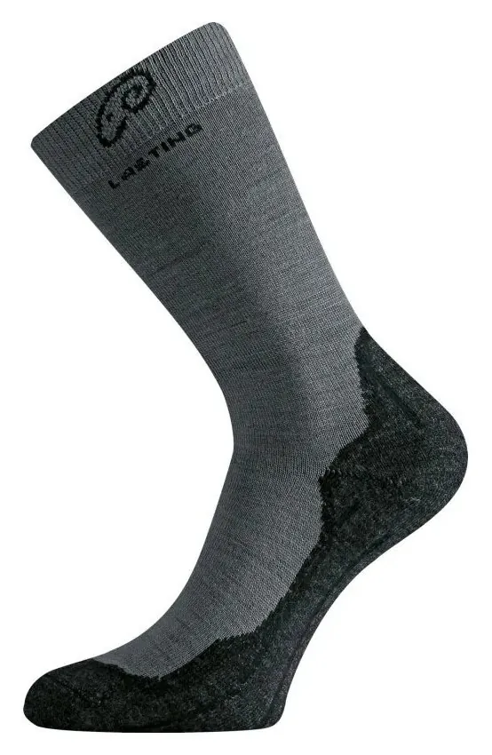Шкарпетки Lasting WHI (M 809)