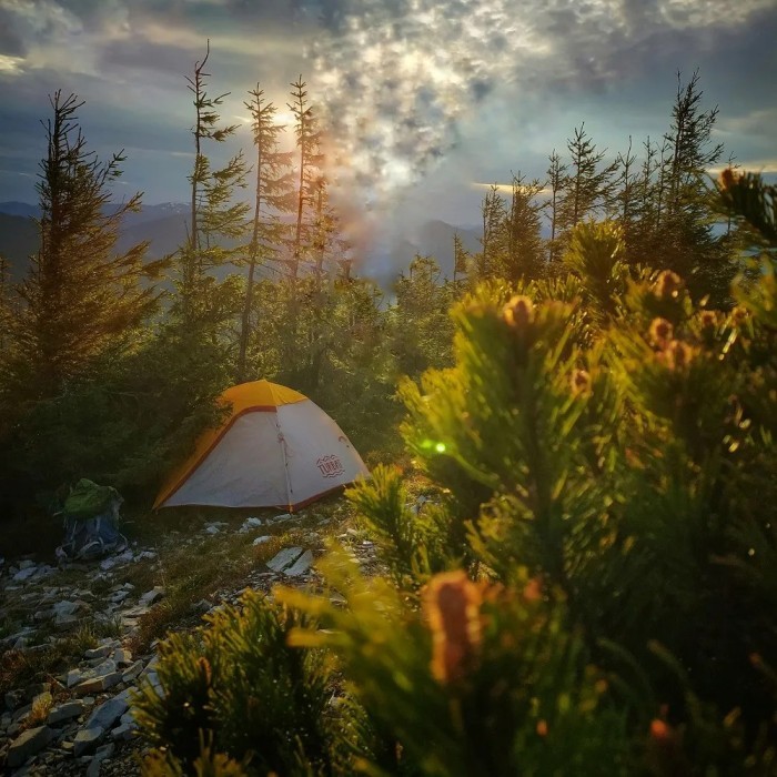 Намет Turbat Borzhava 2