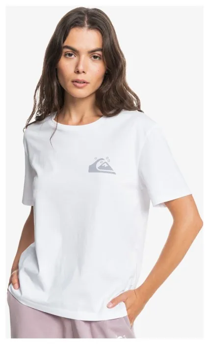 Футболка Quiksilver ( EQWZT03028 ) STANDARDSSTEE W TEES 2023, укр, укр
