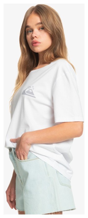 Футболка Quiksilver (EQWZT03028) STANDARDSSTEE W TEES 2023