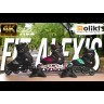 Ролики K2 Alexis 80 Pro, укр, укр