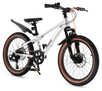 Велосипед дитячий RoyalBaby 26" KING-PLUS 21 SPEED, OFFICIAL UA, Silver