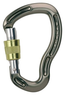 Карабин DMM Sentinel SG