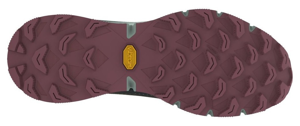 Кросівки Dynafit ULTRA 100 GTX Wms