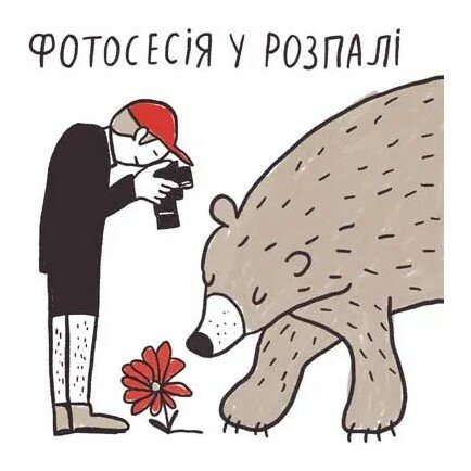 Носки Lasting WLS