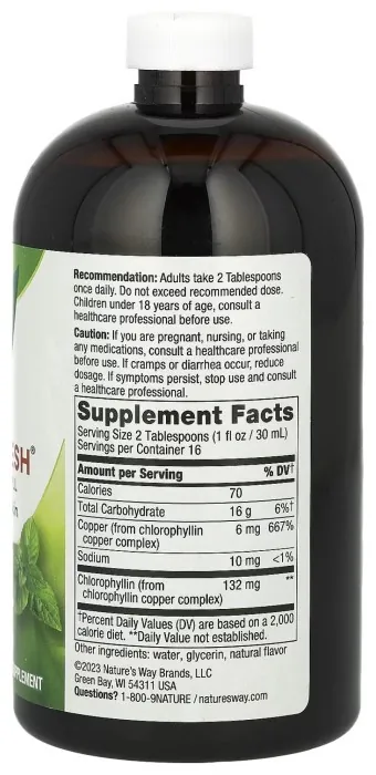Chlorofresh® Liquid - 16 oz Mint