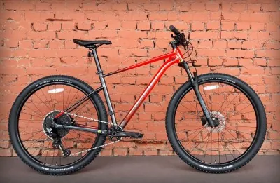 Велосипед гірський 29" Cannondale Trail SL 3 RRD (2023)