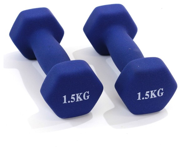 ГАНТЕЛИ 1.5 кг BAVAR SPOR