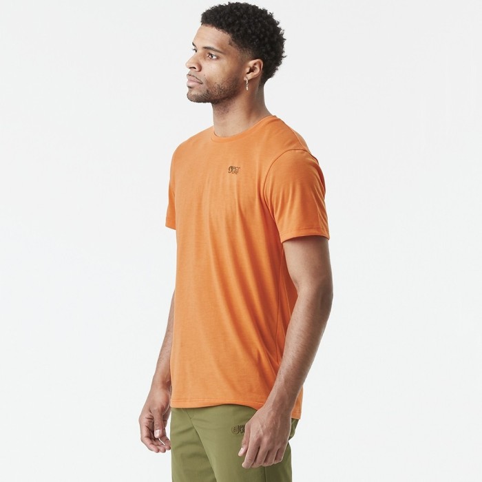 Picture Organic футболка Timont Urban dusty orange L