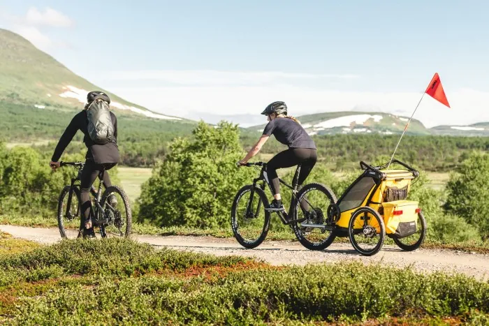 Коляска мультиспортивная Thule Chariot Sport1 2021 TH10201022 Spectra Yellow