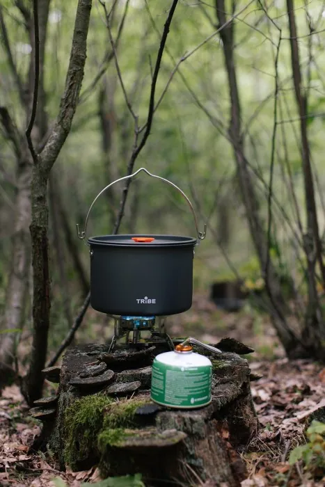 Казанок Tribe Pot 4 л Alu алюминиевый T-FH-0041-grey