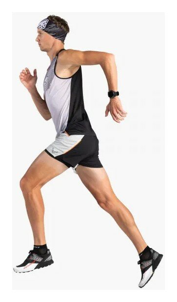 Кросівки Dynafit Alpine DNA