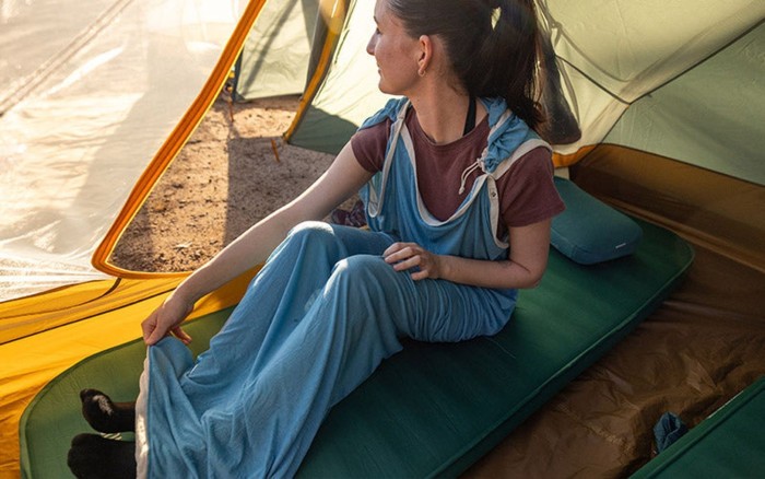 Вкладыш в спальник Sea to Summit Breeze Lightweight Liner, Long 198 см, Cendre Blue