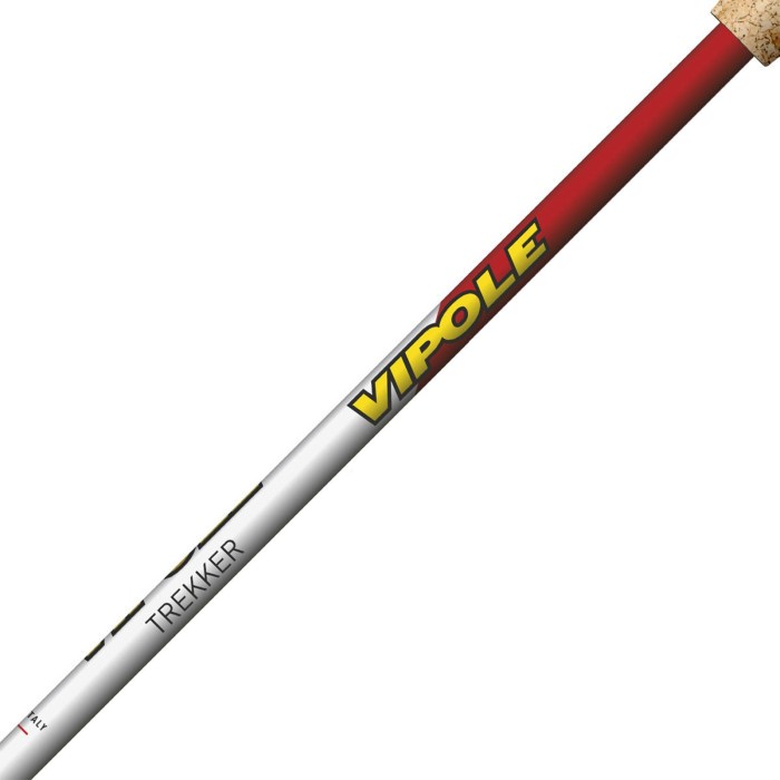 Палки трекинговые Vipole Trekker Cork (S25 09)
