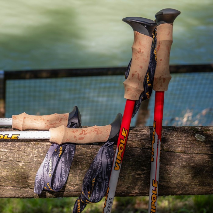 Палки трекинговые Vipole Trekker Cork (S25 09)