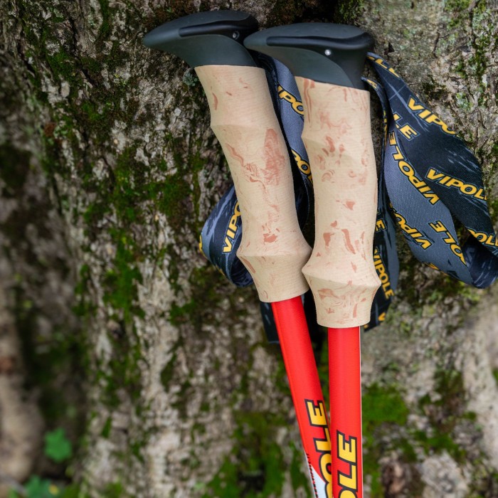 Палки трекинговые Vipole Trekker Cork (S25 09)