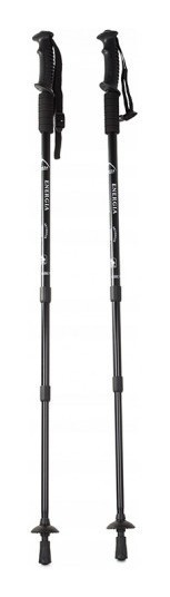 Палка для скандинавской ходьбы EasyFit Energia черная